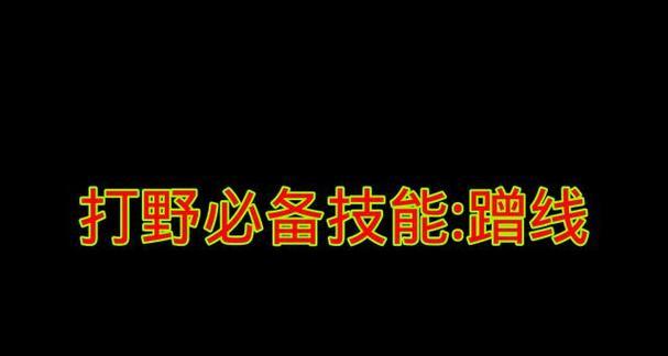 《王者荣耀娜可露露出装攻略》（挑战无限可能的法术刺客）