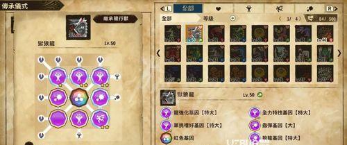 《最后的旅途》中魔法师与弓手的技能培养指南（选择合适的技能）