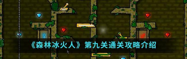 《我叫MT》游戏十字军轻松通关攻略（掌握技巧）
