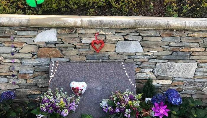 以墓地之死我是谜（究竟是谁犯下了墓地之死的罪行）