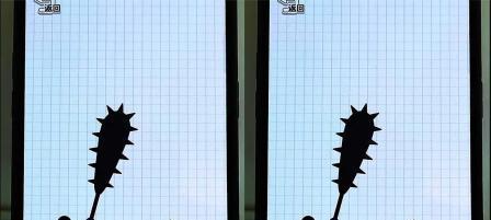 涂色游戏——玩转双倍工厂2048（让你的大脑和创造力得到锻炼）