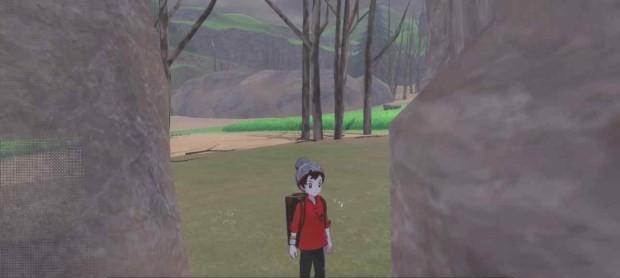 《精灵宝可梦剑盾旷野地带攻略大全》（如何成为最强训练家）