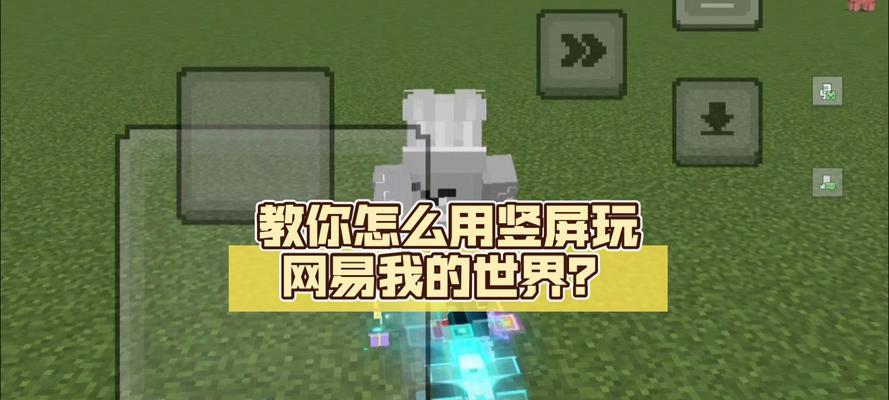 我的世界怎么改名字手机？需要哪些步骤？